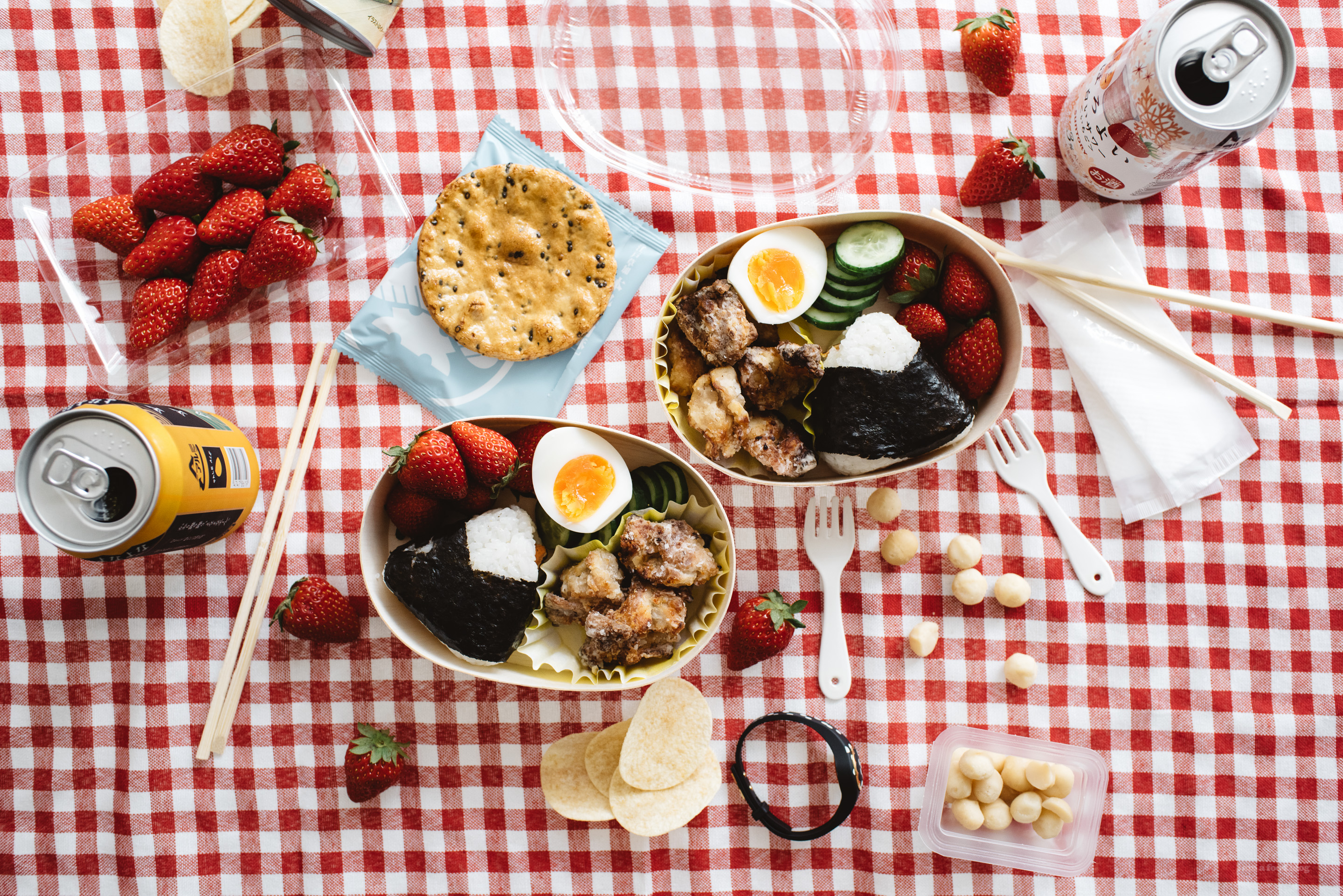12 recipes for a Japanese inspired picnic