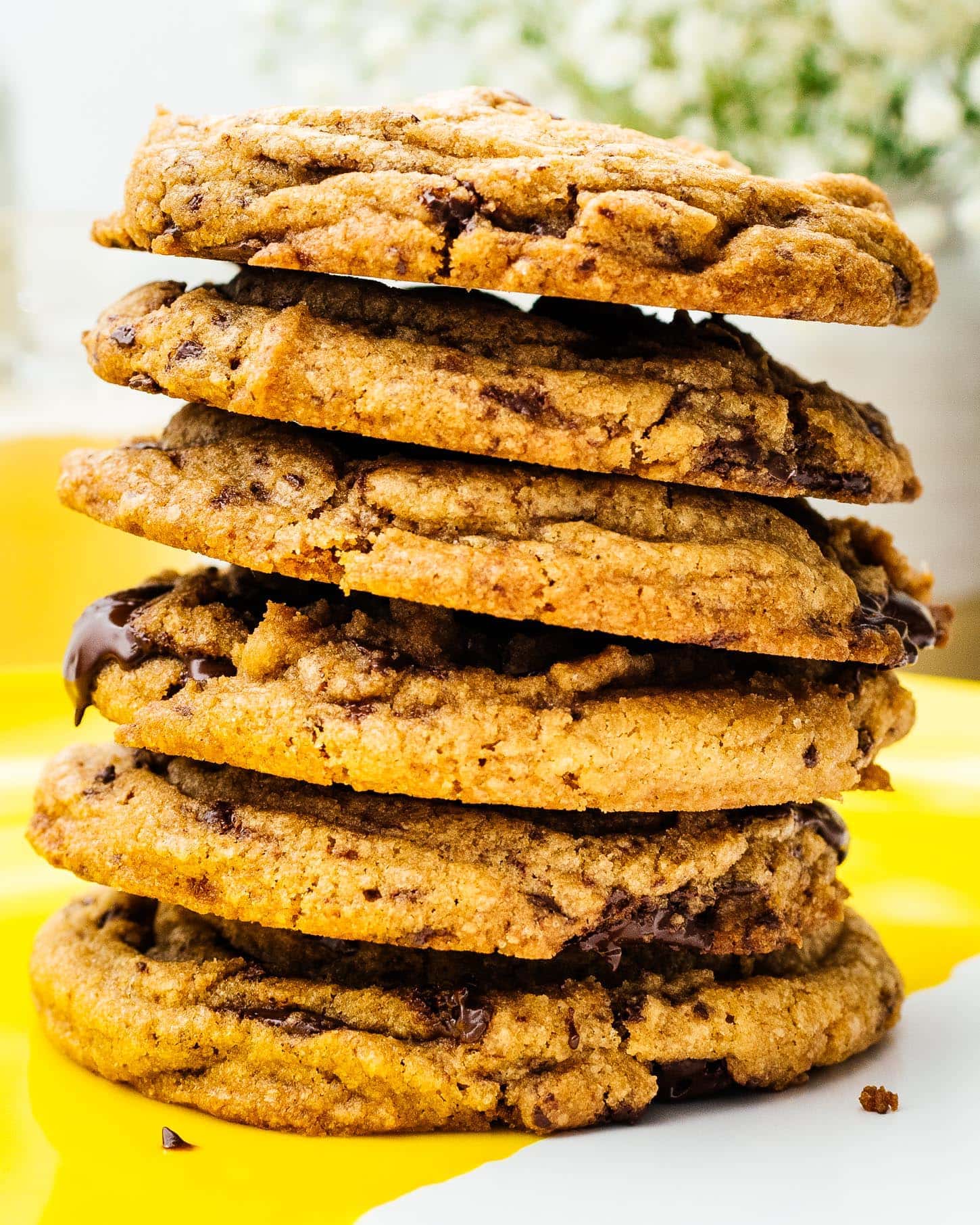 the best chocolate chip cookies | www.iamafoodblog.com