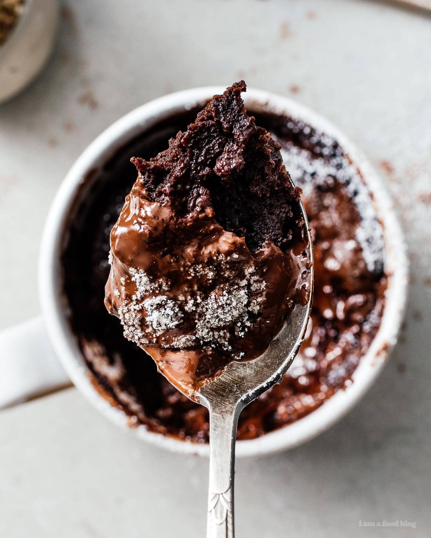 Easy Microwave Chocolate Mug Cake Recipe with Video