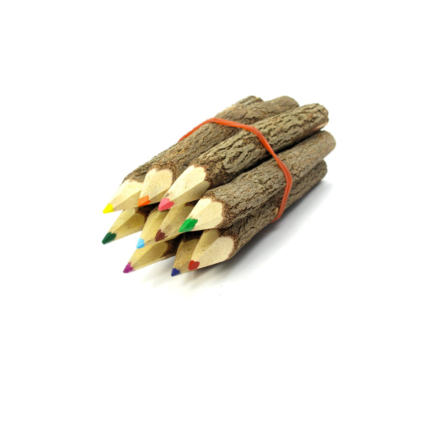 branch-and-twig-assorted-coloring-pencils