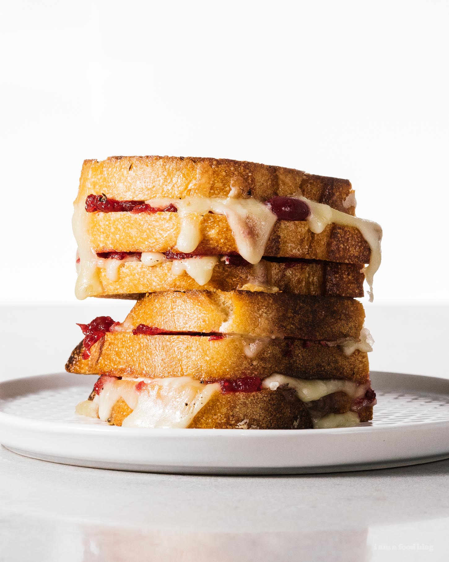 Cranberry and Brie Grilled Cheese | www.iamafoodblog.com