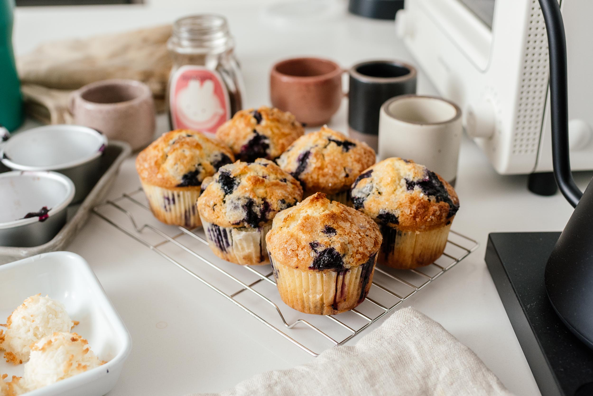 Best Blueberry Muffins Recipe